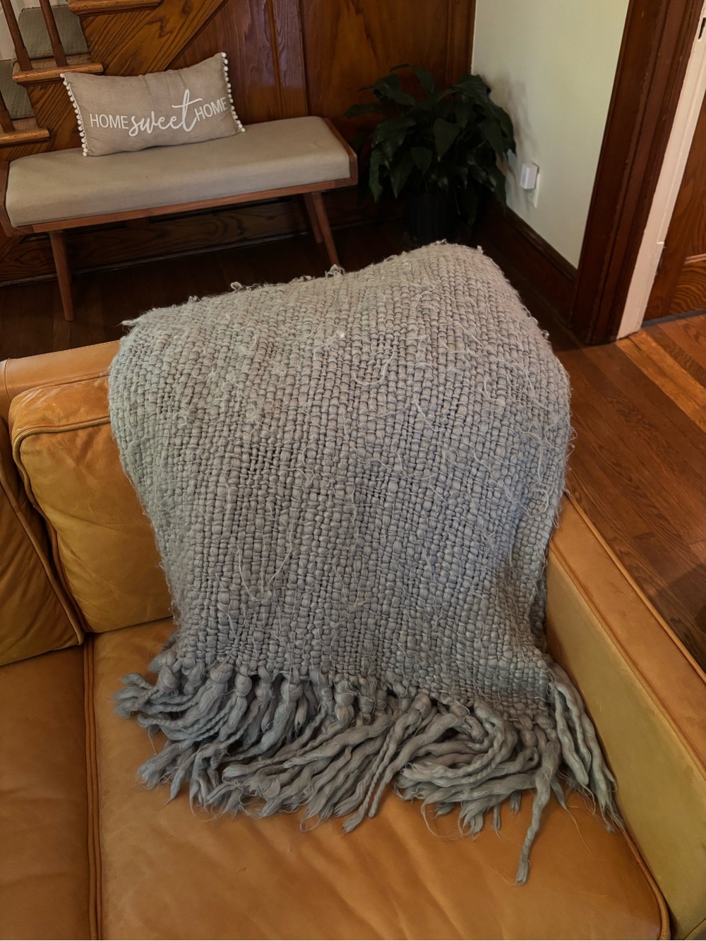 Cozy Woven Fringe Throw Blanket - Light blue